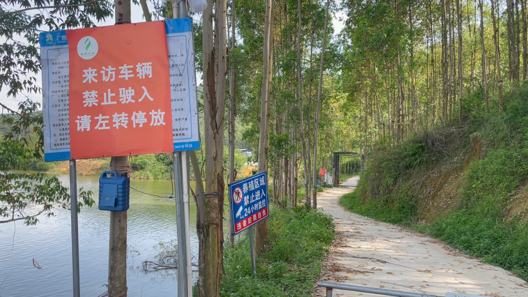 研究生毕业的养猪老板，遇到了两个坎！他要如何应对？（上）
