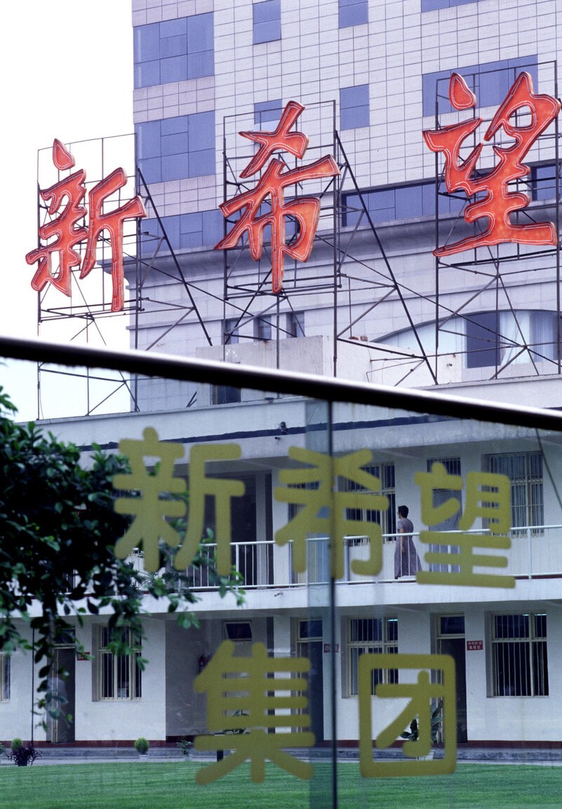 养猪大企一季度亏损近150亿，为何广东、河南养猪富豪们财富“不减”？