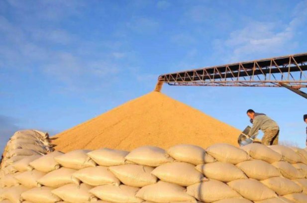 2022年05月04日全国各省市豆粕价格行情，再度降价！但市场还是维持在4500元/吨以上，为何？