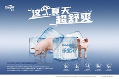 作为养猪届学霸，热应激指数您用对了吗？