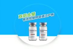 正业生物“正喘停”在西北地区规模猪场免疫效果分析
