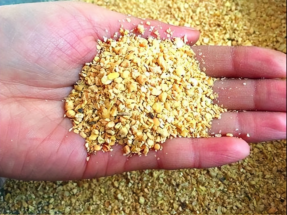 粮价变脸！豆粕期价跌破4000元，贸易商涨价“抢”玉米，啥情况？