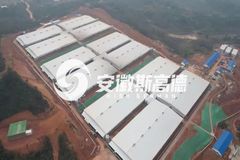 安徽斯高德助力湖南衡阳生猪养殖基地顺利投产