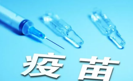 猪瘟、伪狂犬、圆环、蓝耳，四大基础病毒病疫苗免疫要点！