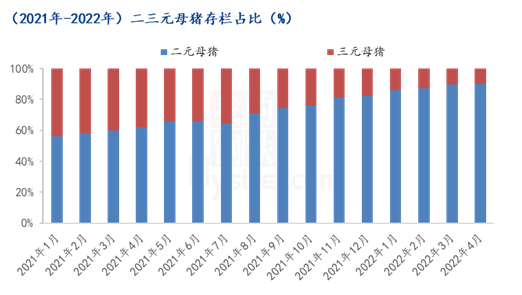 猪价上涨后，二次育肥、肥转母现象增多，还有哪些连锁反应？