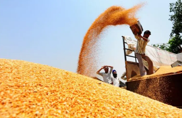 刚说“要养活世界”就严禁小麦出口，印度为何突然改变？对我国有影响吗？