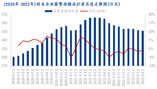 猪价上涨后，二次育肥、肥转母现象增多，还有哪些连锁反应？