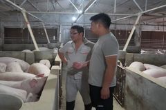 德康农场：30多岁的货车司机跨行养猪？一人喂养1200头！