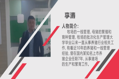 吸引21多万人观看！国内顶尖专家讲解：高产母猪从后备培育开始
