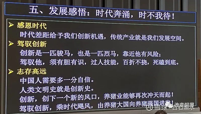秦英林：创新在传统产业中的狂奔