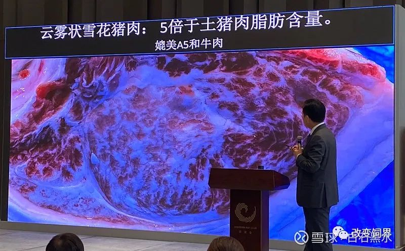 秦英林：创新在传统产业中的狂奔