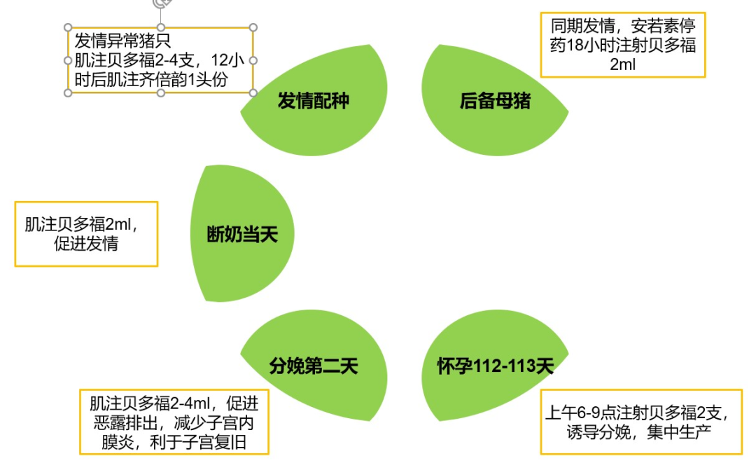 贝多福在生产管理中的使用方案