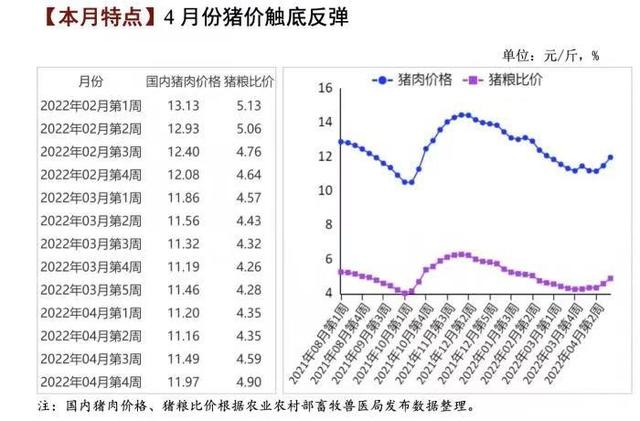 猪价处于反弹中