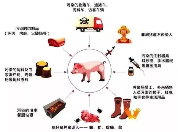 传染病的传染源