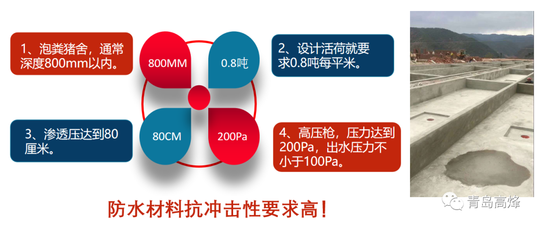 楼房养殖有9大痛点，养殖业应如何应对？