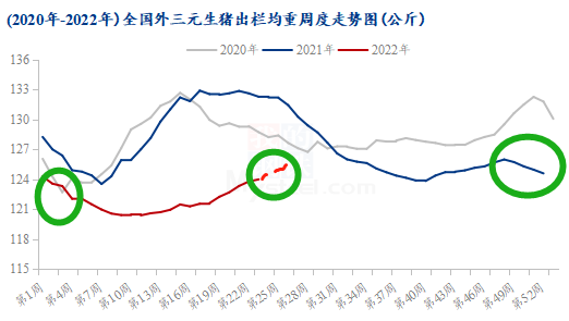 猪价再创年内新高，后市怎么走？一文看懂！