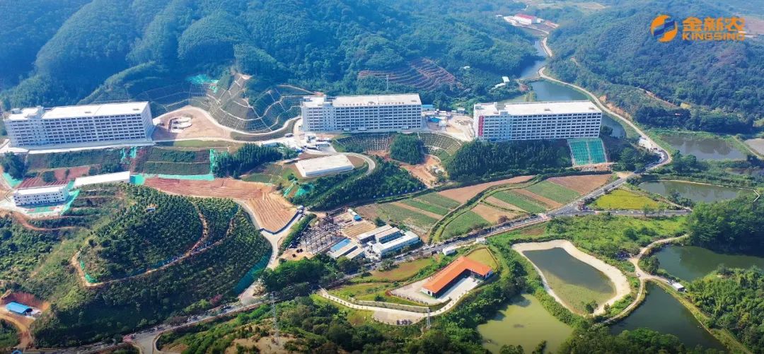 增城生猪养殖基地
