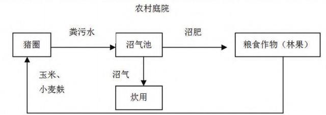 农村庭院种养结合养猪模式结构示意图