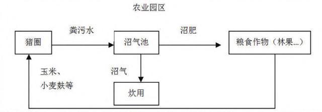 农业园区种养结合养猪模式结构示意图