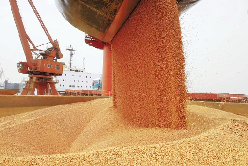 ANEC预计6月份巴西大豆出口量将达到1084万吨