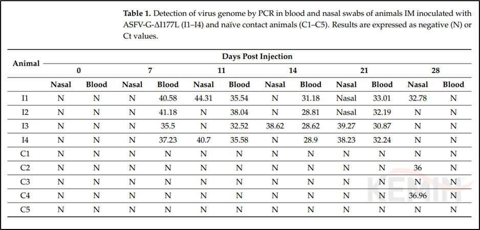 图5 非洲猪瘟基因缺失疫苗ASFV-G-ΔI177L免疫后排毒情况
