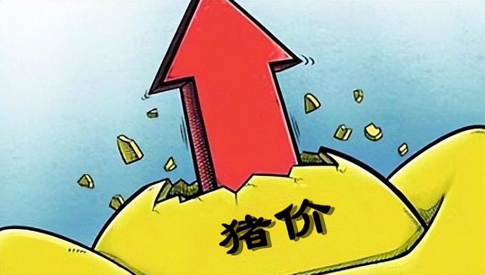 猪价“7连涨”！6月17日猪价涨势放缓，猪肉股集体回落