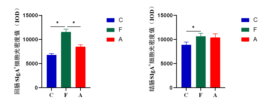 SIgA⁺细胞光密度值