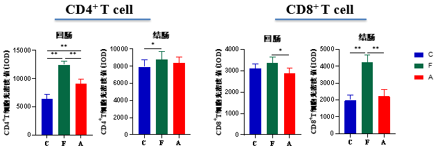 肠道CD4⁺、 CD8⁺ T细胞光密度值