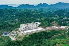 配种分娩率维持在93%以上，窝均断奶11.8头，他们是如何办到的？