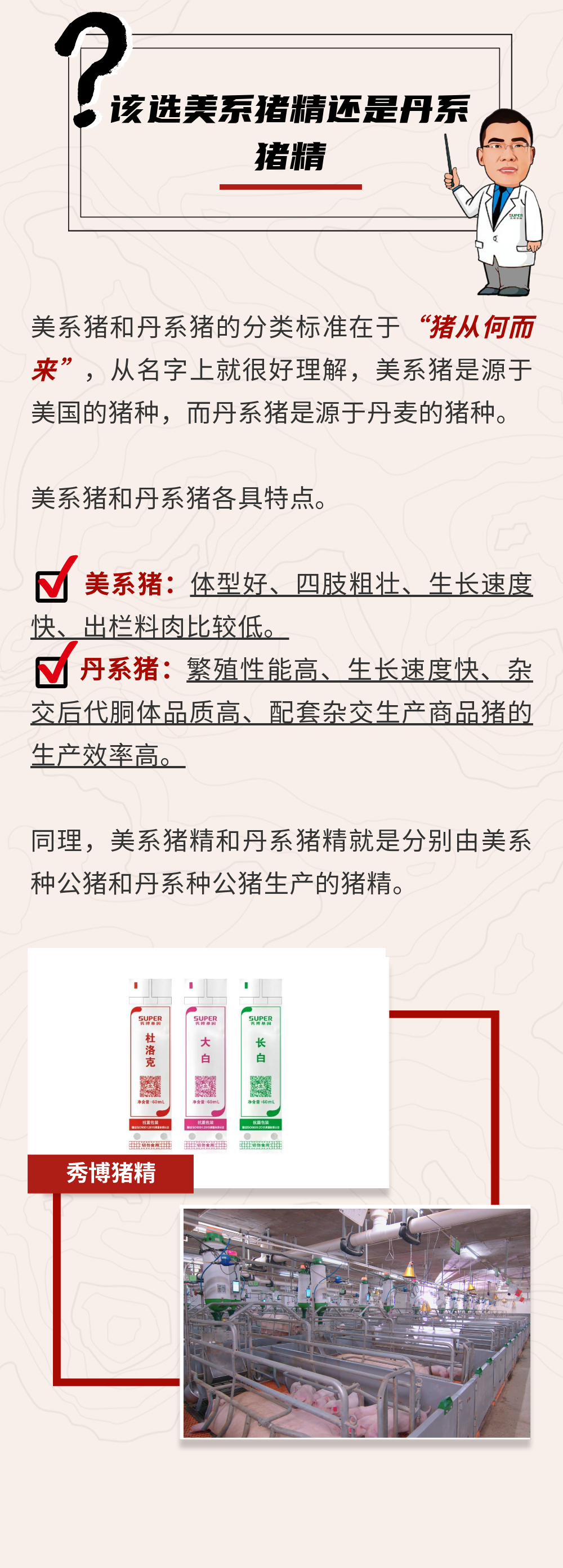 给母猪配种，第一步得选对！
