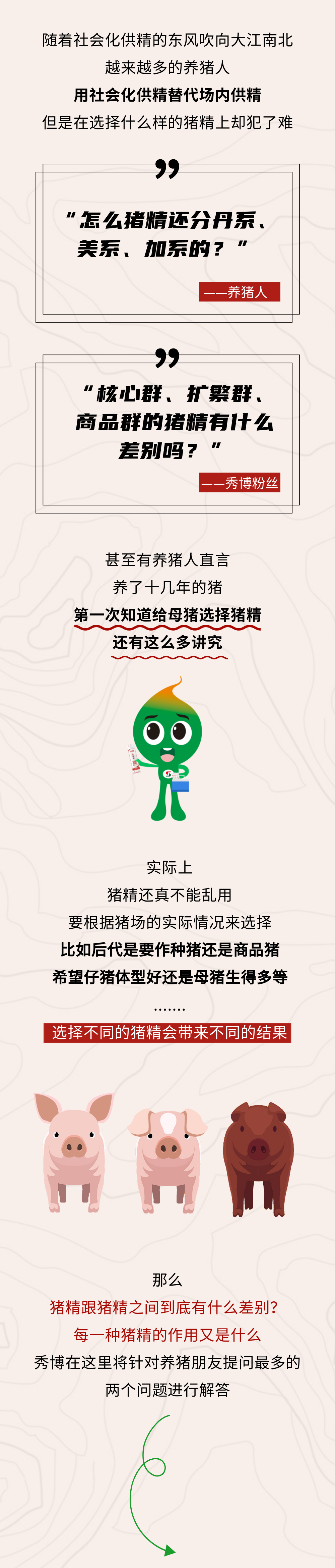给母猪配种，第一步得选对！