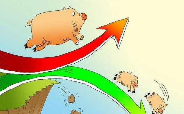 猪市向好，猪企股票集体暴涨！下半年生猪需求可能经谷底回升