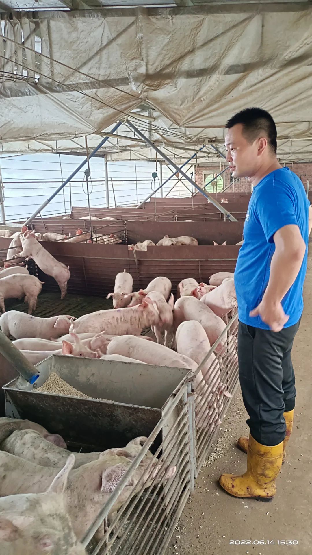 专访安佑集团技术总监任庆海：企业如何助力农户打造现代新型家庭农场？