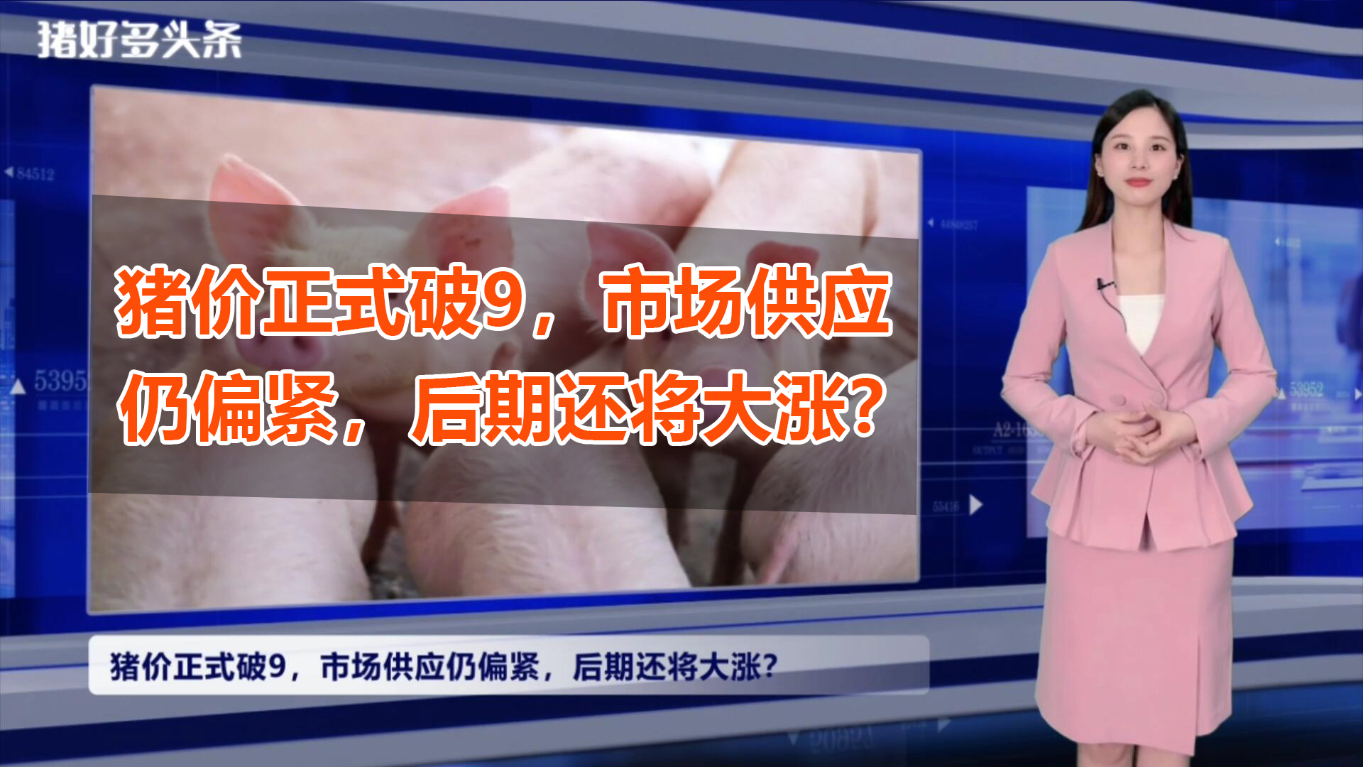 正式“破9”！猪市确立进入断档期，7-9月猪价将要“起飞”？