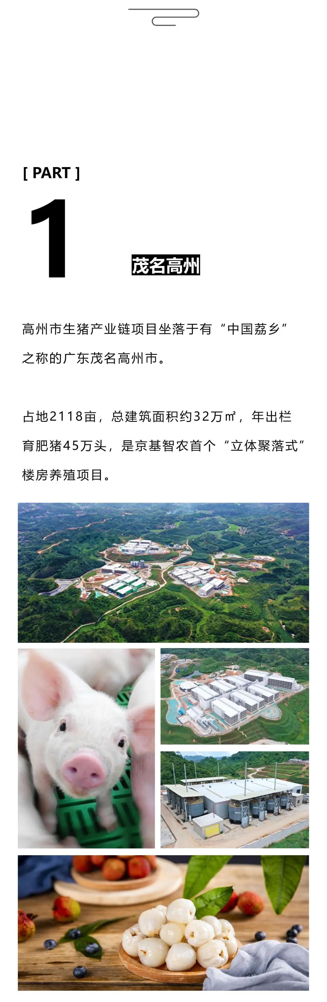 京基智农