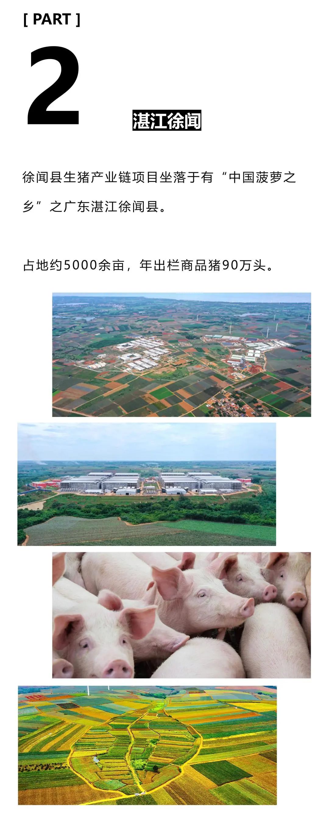 智慧养猪