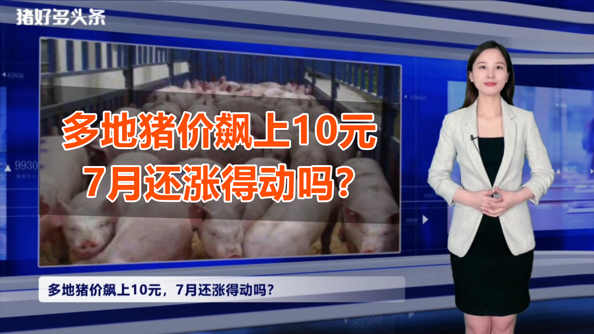 多地猪价飙上10元！市场缺猪，7-8月上涨是必然？高点在哪？