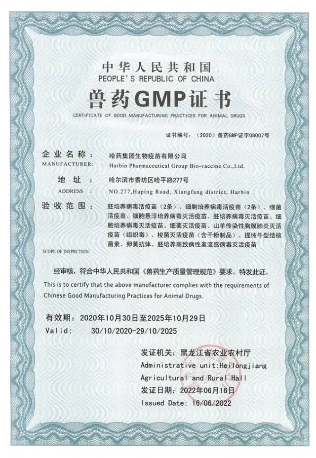 兽药GMP证书