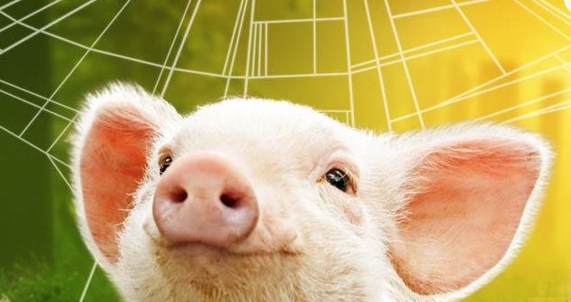 猪价未来能涨多高？生猪养殖企业盈利空间如何？