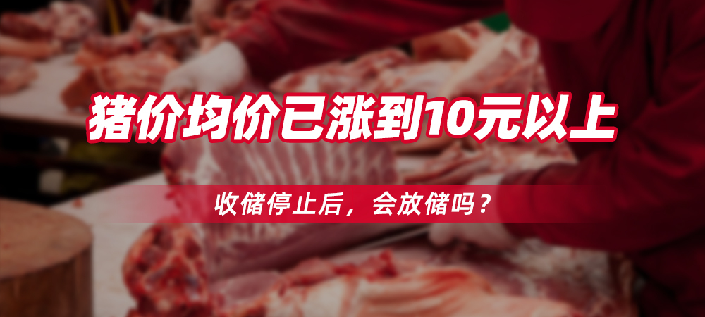 猪价均价已涨到10元以上，收储停止后，会放储吗？