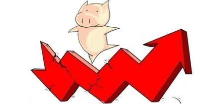 猪价上涨，龙头企业盈利持续改善，温氏股份养猪成本下降超预期