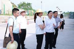 内江市人民政府副市长徐炼英调研内江黑猪产业发展情况