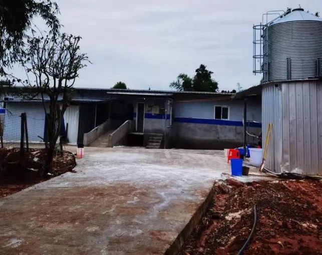 协助猪场洗消、检测安全