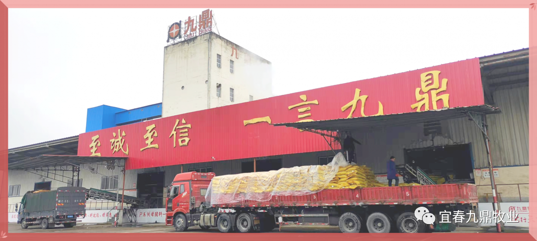 宜春九鼎