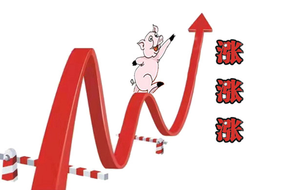 “满血复活”，猪价又是满堂红，多地猪价“狂涨近1元”，养殖户：别再涨了