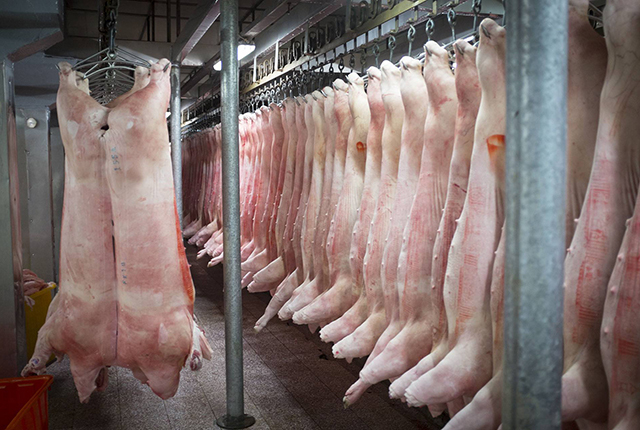 安徽省司法厅：《生猪屠宰管理条例》将修订  鼓励生猪全产业链发展！
