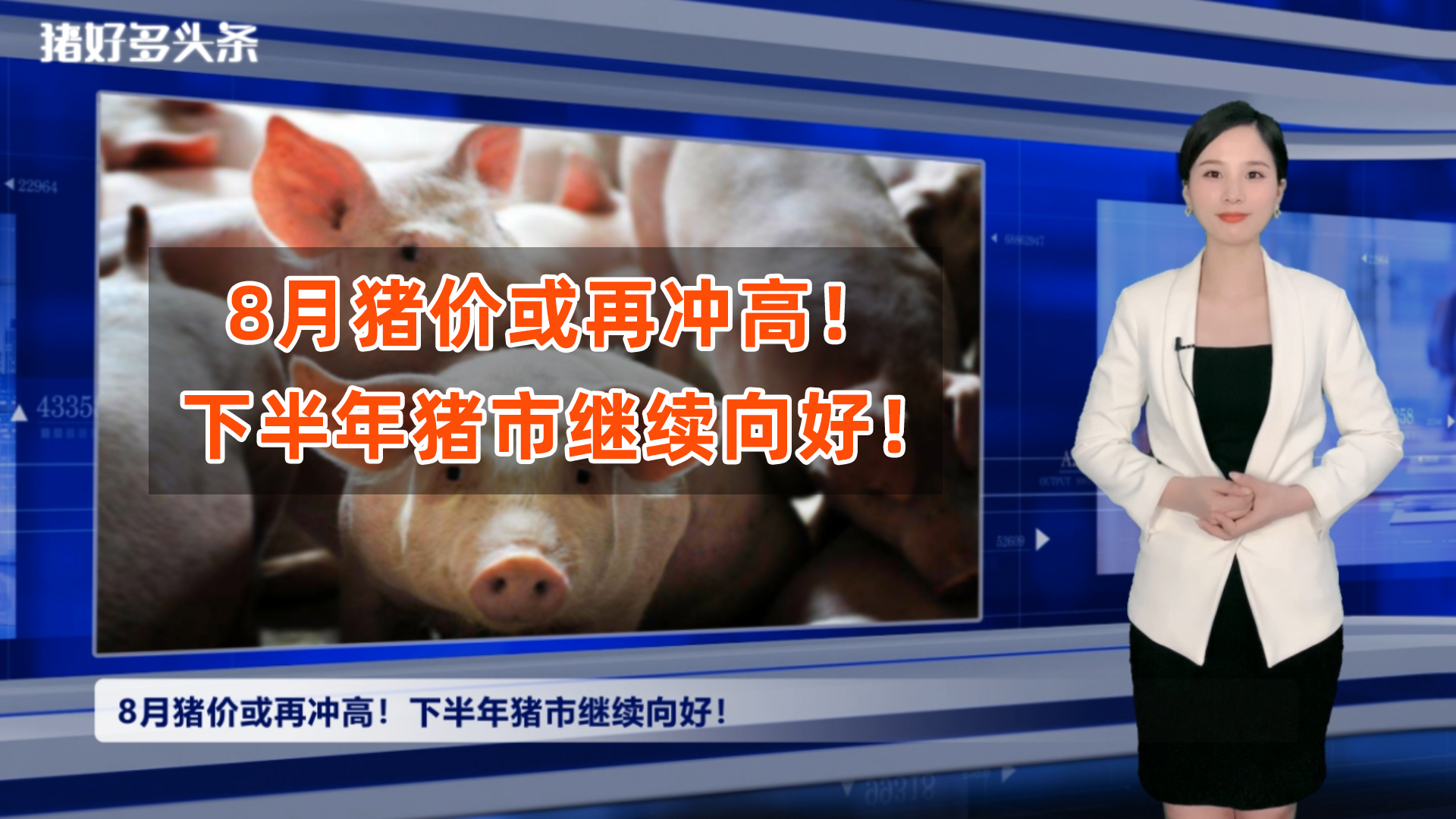 卖一头猪赚700！8月猪价或再冲高，业内：下半年猪市有2个高点！
