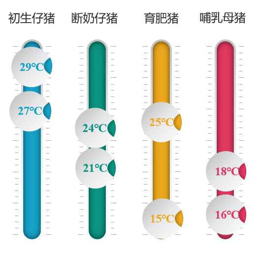 高温天猪热应激怎么办？看看这套防控方案！