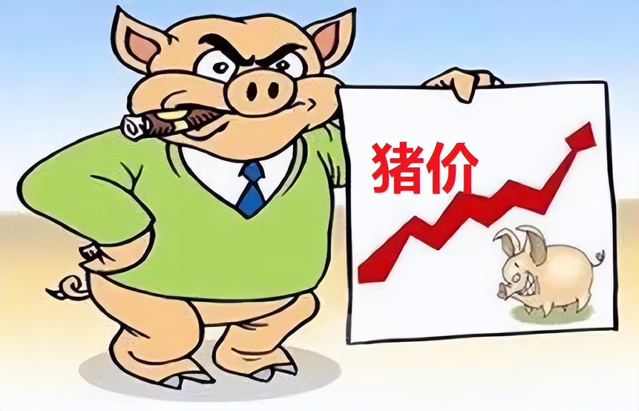 6月生猪、母猪存栏双增！下半年猪价行情如何，养殖户有指望吗？