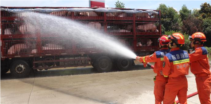 湖北咸宁120头生猪中暑，消防救援人员提醒：牲畜家禽要做好防暑降温